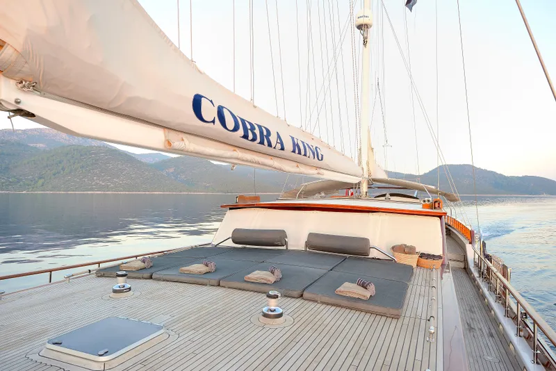 Cobra King yacht interior or exterior view